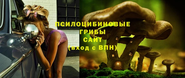 винт Козельск