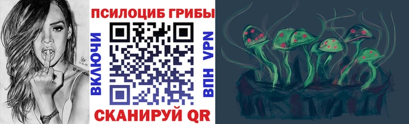 KRAKEN ССЫЛКА  Медвежьегорск  Галлюциногенные грибы мицелий 